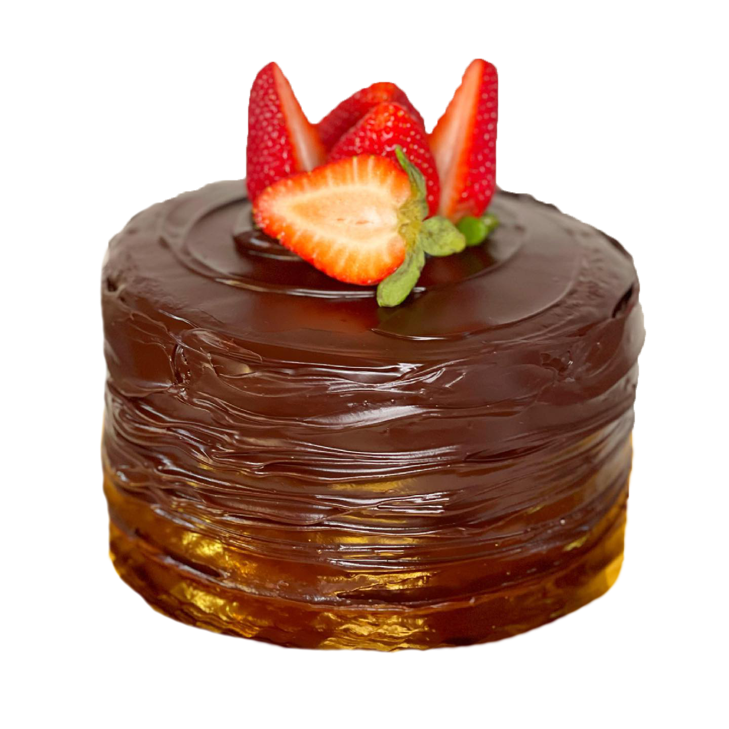 publix mini chocolate ganache cake